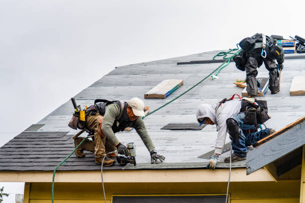 Professional Roofing technician working in Rutherford College, NC